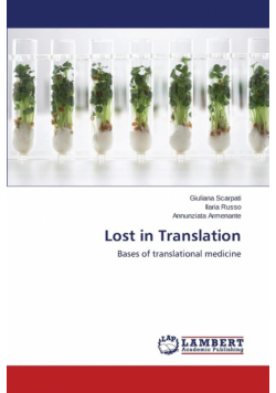 Lost in Translation