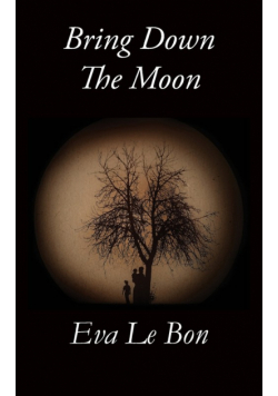 Bring Down the Moon