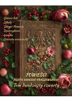 Powieści Józefa Ignacego Kraszewskiego. Tom 24
