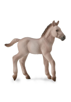 Konik Foal Blue Dun