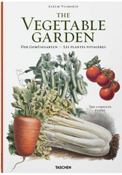 The Vegetable Garden