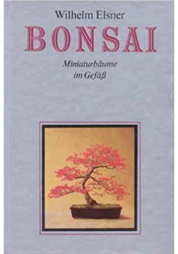 Bonsai Moniaturbaume