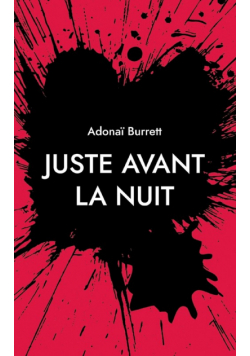 Juste avant la nuit