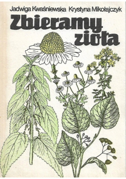 Zbieramy zioła