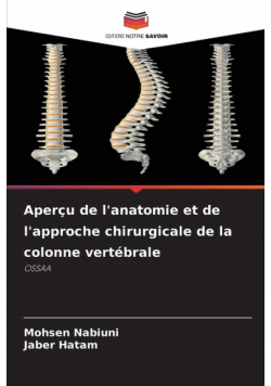 Aperçu de l'anatomie et de l'approche chirurgicale de la colonne vertébrale