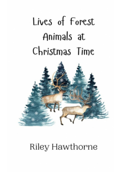 Lives of Forest Animals at Christmas Time