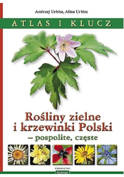 Rośliny zielne i krzewinki Polski