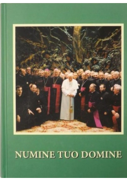 Numine Tuo Domine