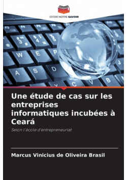 Une étude de cas sur les entreprises informatiques incubées à Ceará