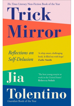 Trick mirror