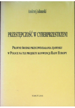 Przestępczość w cyberprzestrzeni