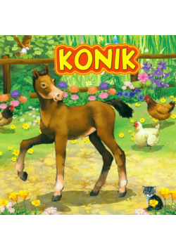 Konik