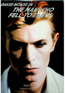 The man who fell to earth