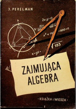 Zajmująca algebra