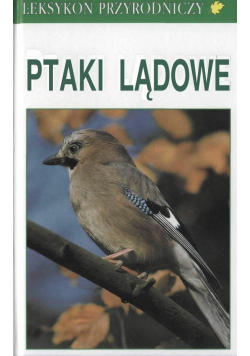 Ptaki Lądowe