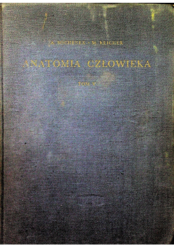 Anatomia człowieka V