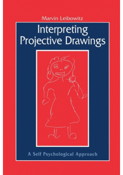 Interpreting Projective Drawings