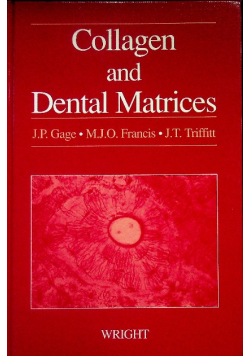 Collagen and Dental Matrices