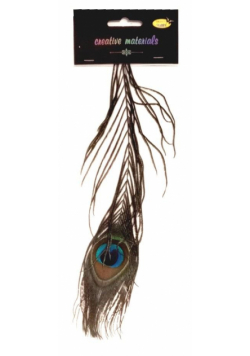 Pióro pawia 25cm