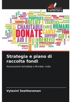 Strategia e piano di raccolta fondi
