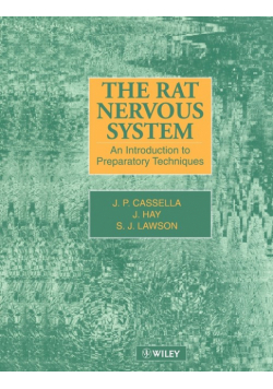 Rat Nervous System