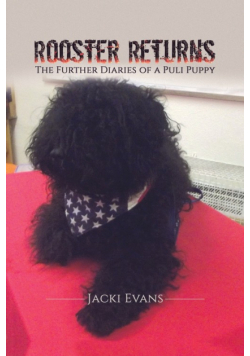 Rooster Returns