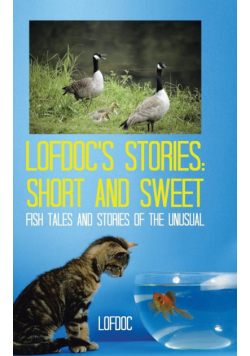 Lofdoc's Stories