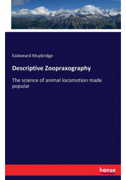 Descriptive Zoopraxography
