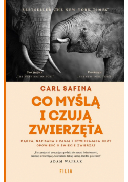Co myślą i czują zwierzęta