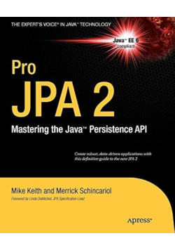 Pro JPA 2