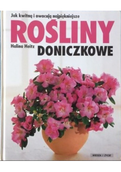 Jak kwitną i owocują najpiękniejsze rośliny doniczkowe