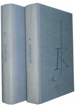 Kopciuszek powieść