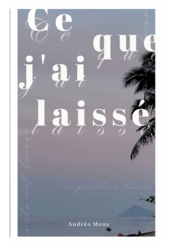 Ce que j'ai laissé