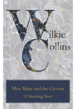 Miss Mina and the Groom ('A Shocking Story')