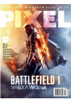 Pixel  Nr 19 / 16
