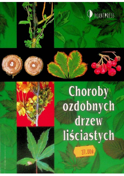 Choroby ozdobnych drzew liściastych