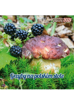 Kalendarz 2021 KAD-6 Grzybiarza AVANTI