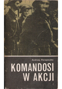 Komandosi w akcji