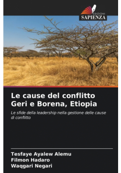Le cause del conflitto Geri e Borena, Etiopia