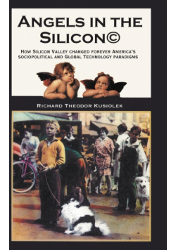 Angels in the Silicon