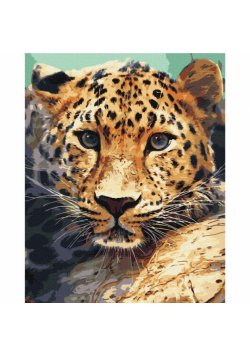 Malowanie po numerach BRUSHME 40x50 cm portret lamparta