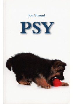 Psy