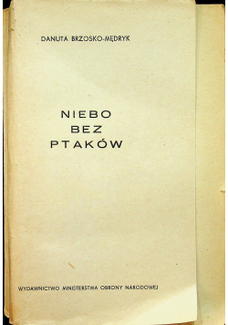 Niebo bez ptaków