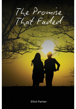 The Promise That Faded