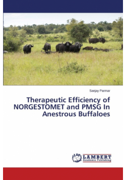 Therapeutic Efficiency of NORGESTOMET and PMSG In Anestrous Buffaloes