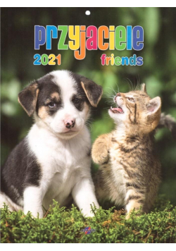 Kalendarz 2021 KSM-7 Przyjaciele AVANTI