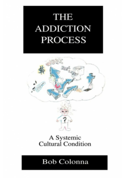 The Addiction Process