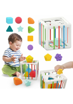 Sorter sensoryczny
