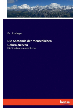 Die Anatomie der menschlichen Gehirn-Nerven