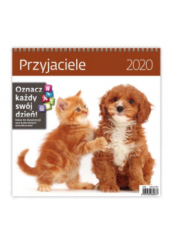 Kalendarz 2020 30x30cm Przyjaciele HELMA